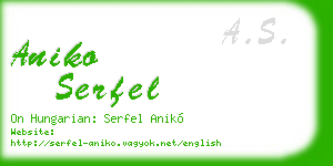 aniko serfel business card